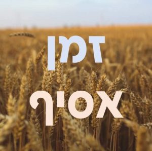 זמן אסיף